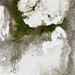 Moisture-damaged wall surface showing mold and water damage issues