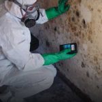 mold removal in oakville